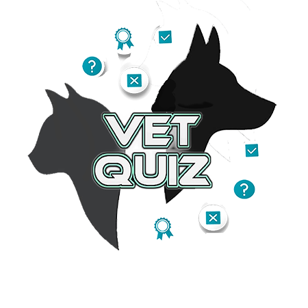 QUIZ